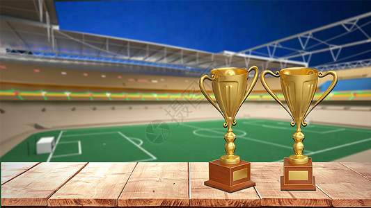 在全球体育 在全球体育